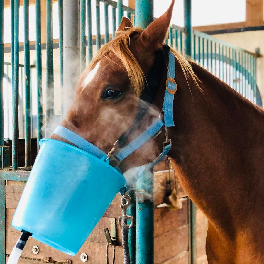 pferd maske stall inhalation