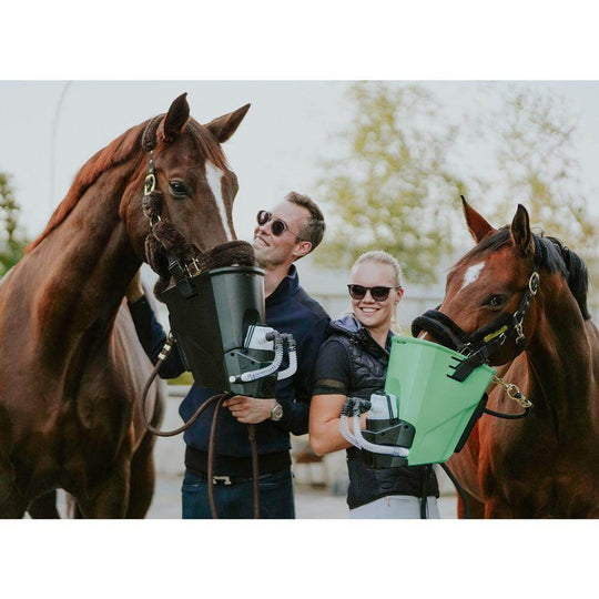 Maskeninhalator medhartwig pferde ponys