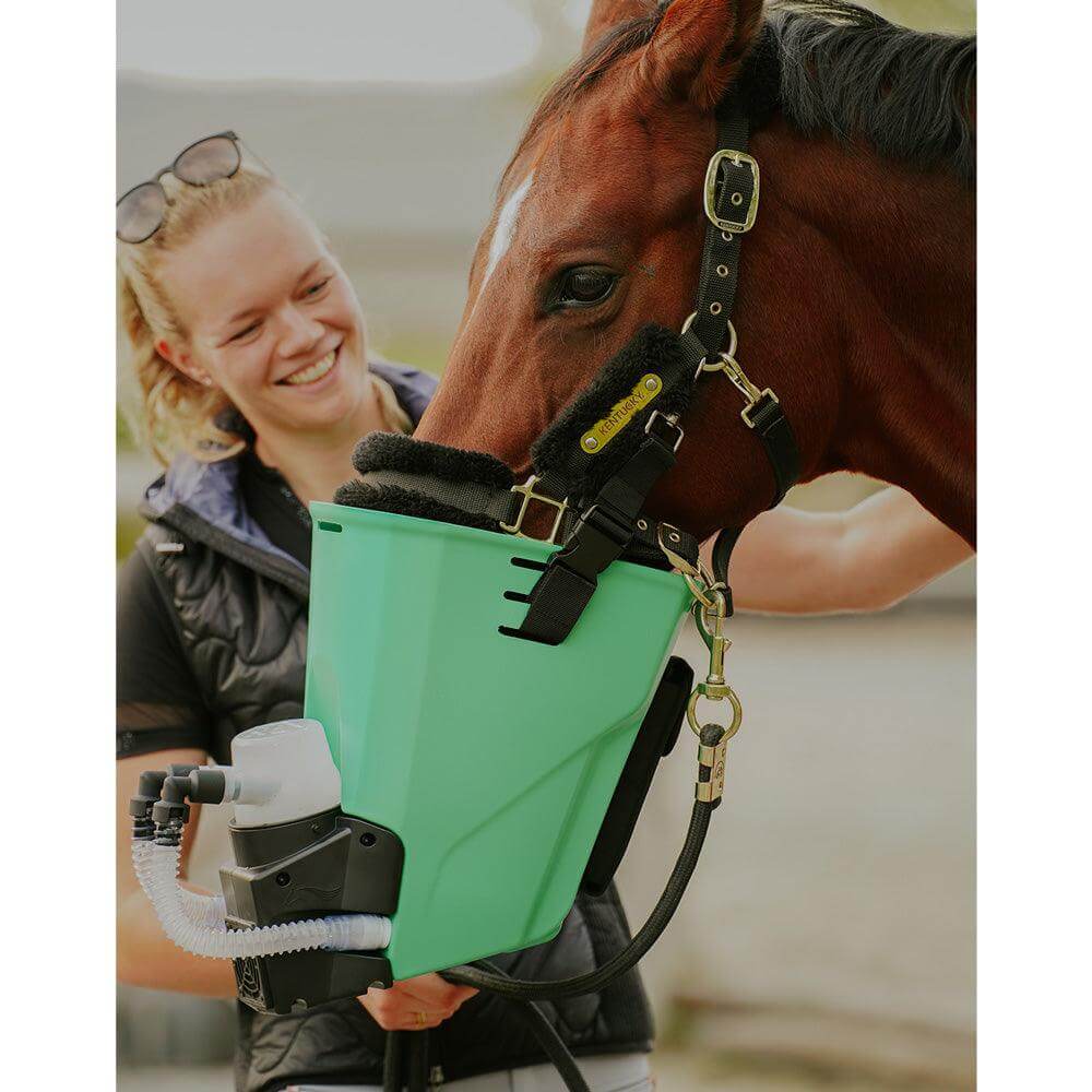 maskeninhalation für tiere pferde
