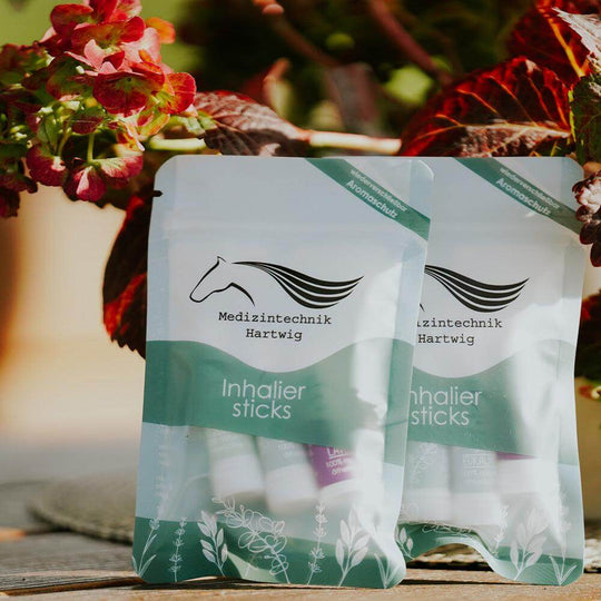 inhalationssticks für equosonic free