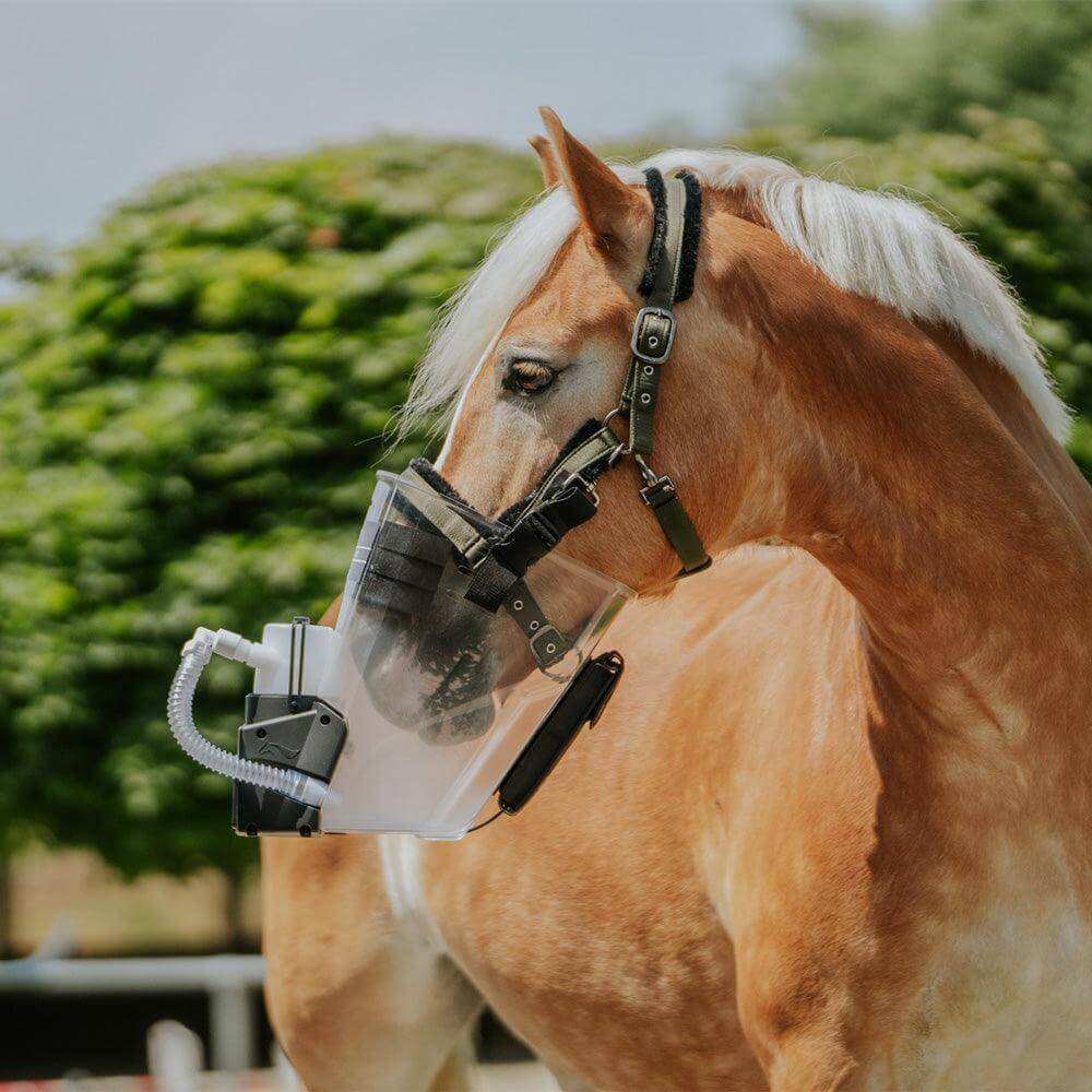 Inhalator für Pferde offene maske wenig stress