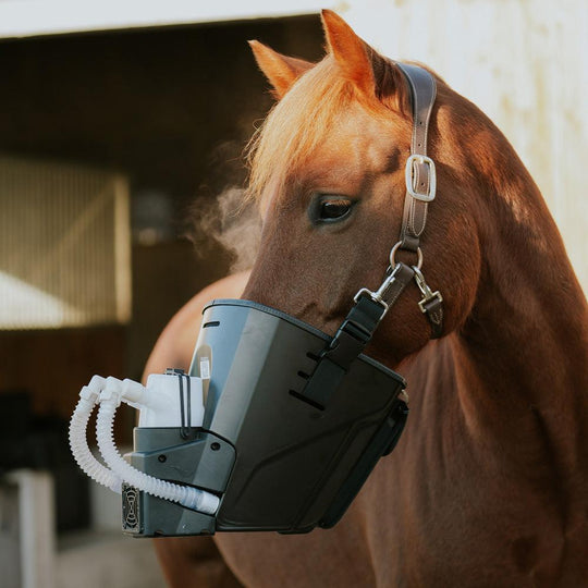 ultraschallvernebler mobil mit maske leicht