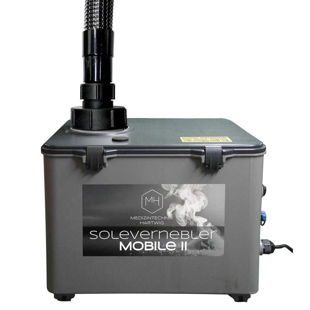 Großraumvernebler für Salzspielplätze und Salzgrotten