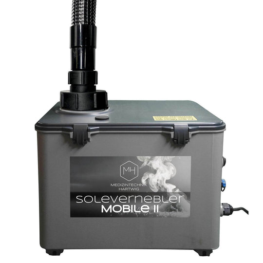 Großraumvernebler für Salzspielplätze und Salzgrotten