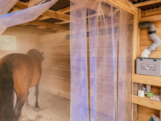 pferdelunge inhalieren sole geschlossener raums