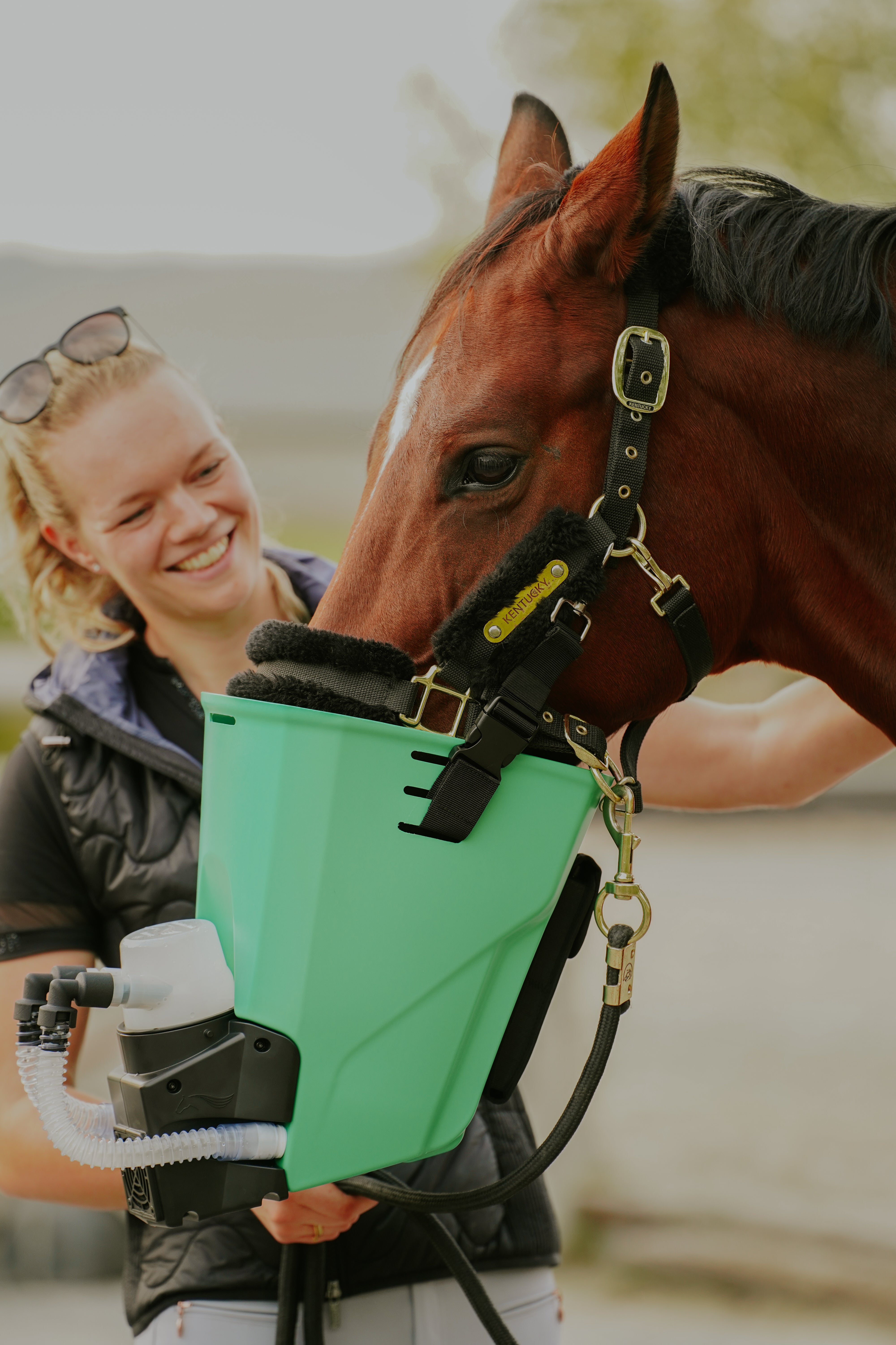 Inhalator für Pferde equosonic free Starterpaket