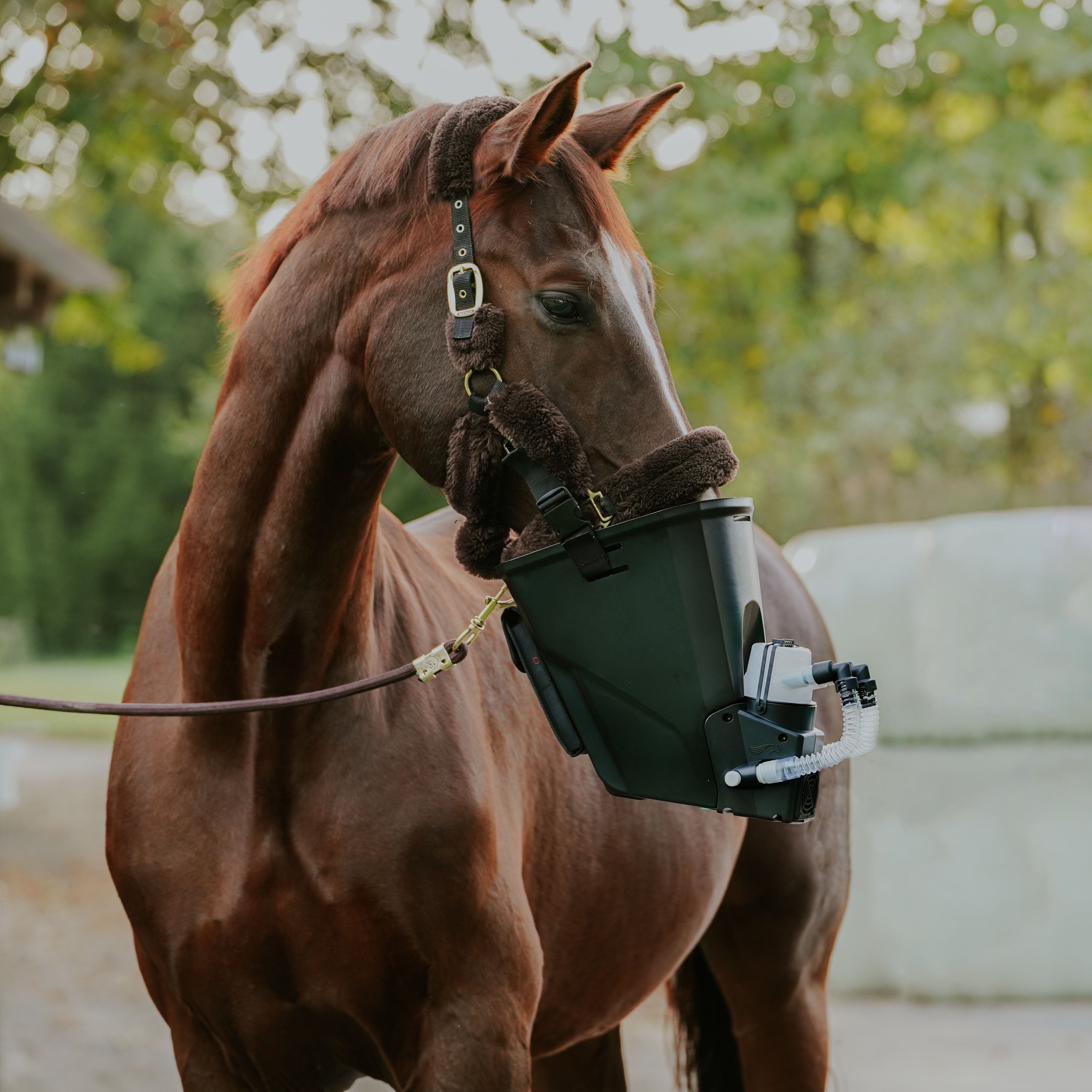 Inhalator für Pferde equosonic free Starterpaket